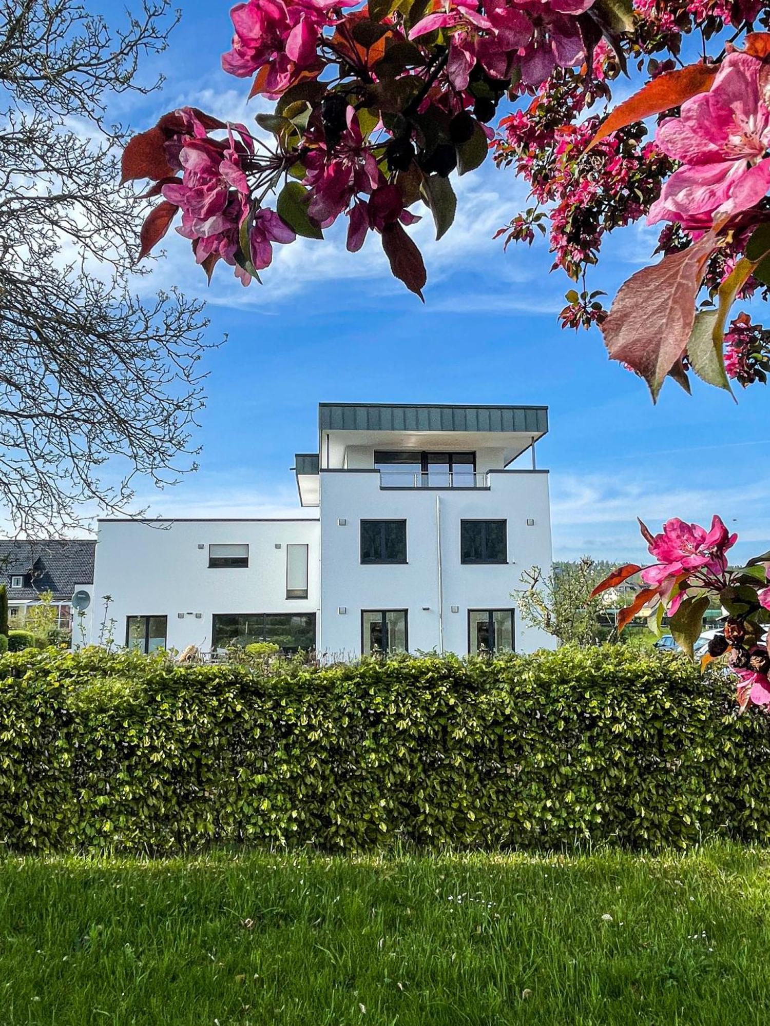 Penthouse Wohnung Mit Terrasse & Sauna - Wildecker Ferienbutze Honebach Zewnętrze zdjęcie